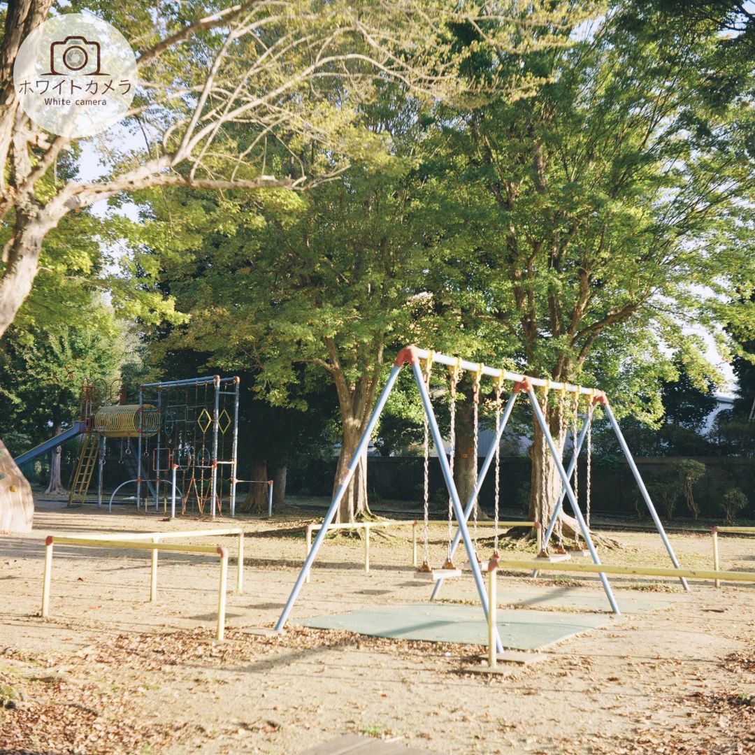 ニューダイア フィルムカメラ