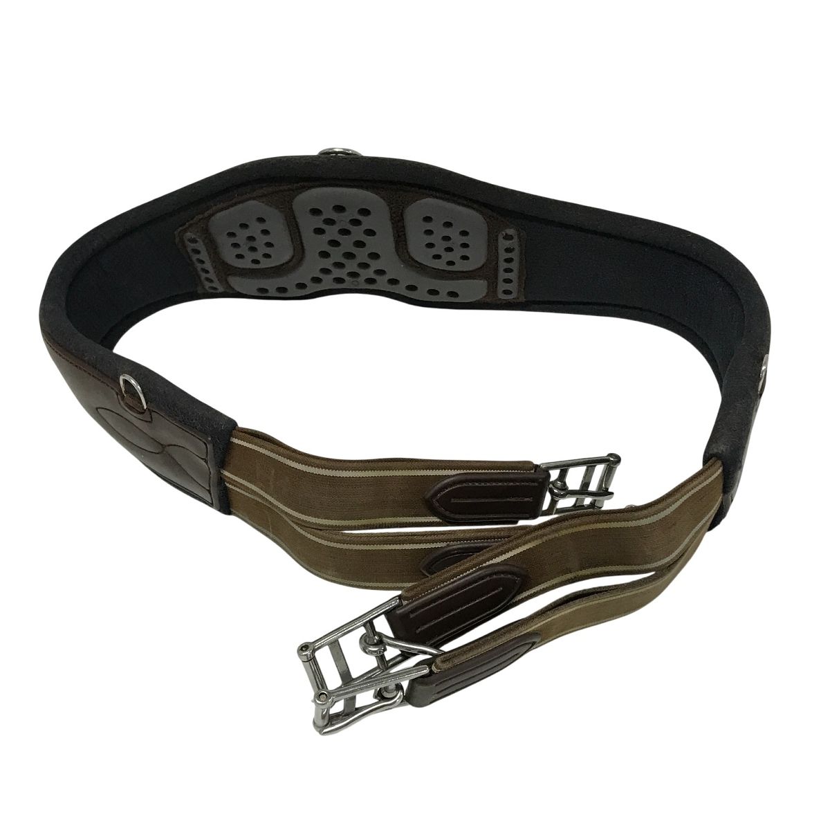 Acavallo アナトミック