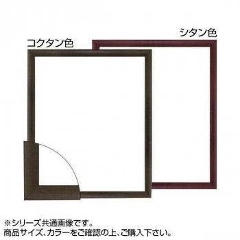 大額 5899 デッサン額 三三 シタン色