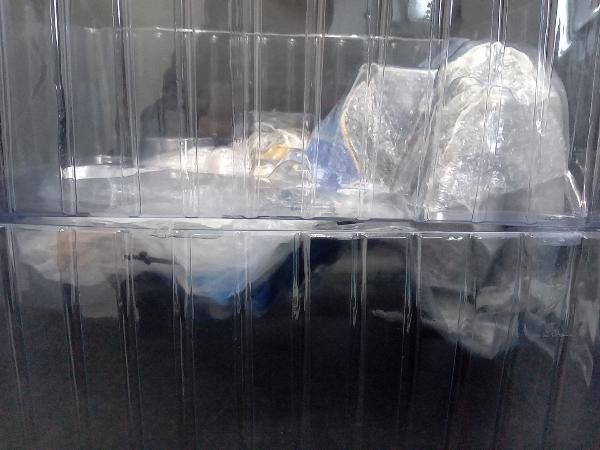 【開封済み】アリスグリント メノウ 1/7 処刑少女の生きる道 / 輸送箱付き フィギュア