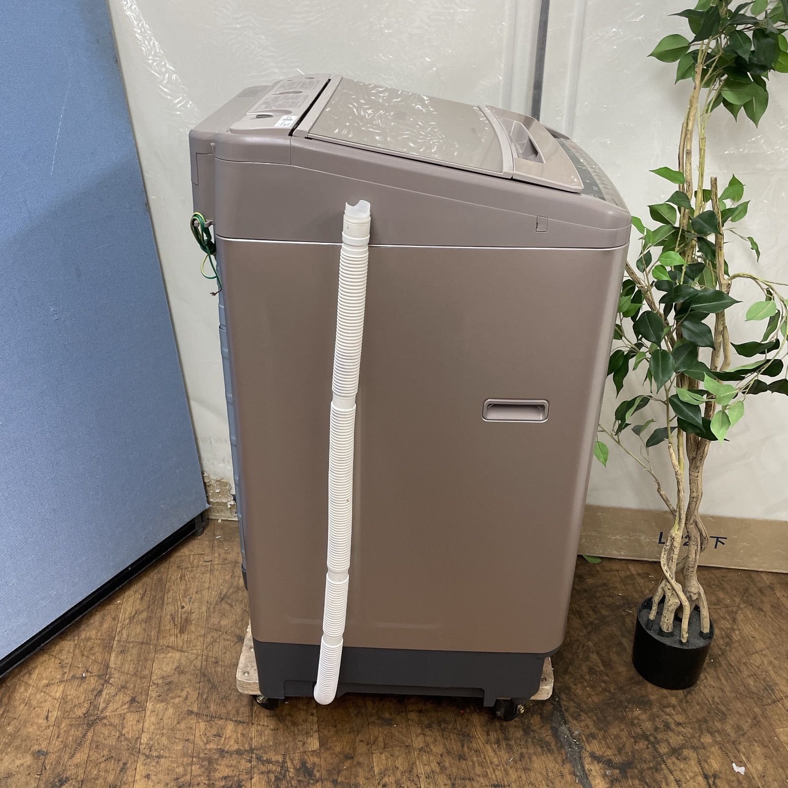 クリーニング済