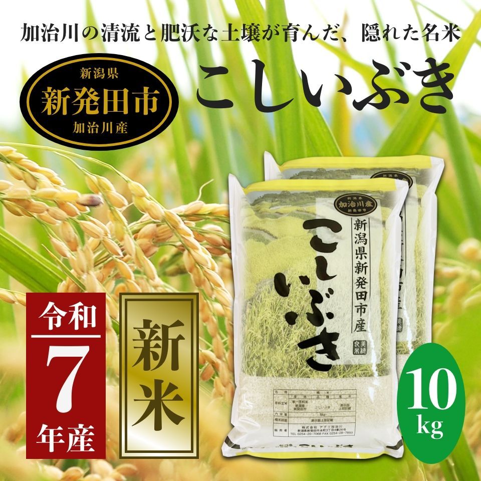新潟県　長岡産　令和6年産　にじのきらめき　10㎏（5kg×2）　白米　送料無料 新潟県 長岡産 令和6年産 にじのきらめき 10㎏（5kg×2） 白米 送料無料