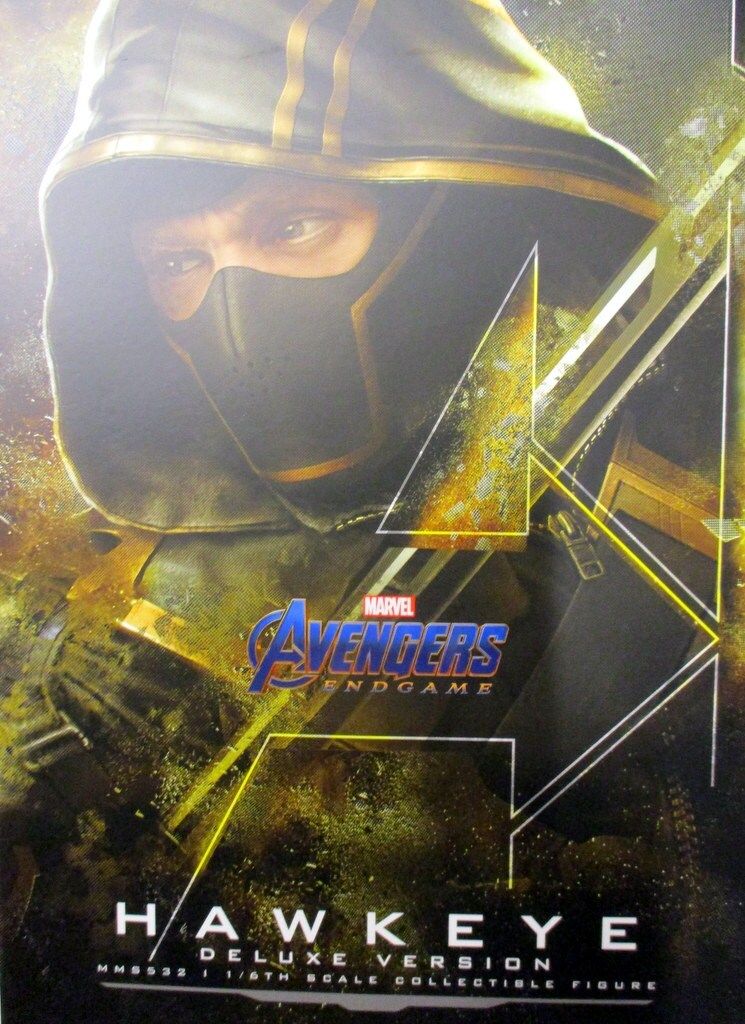 HOTTOYS MOVIE MASTERPIECE HAWKEYE / DELUXE VERSION MMS532