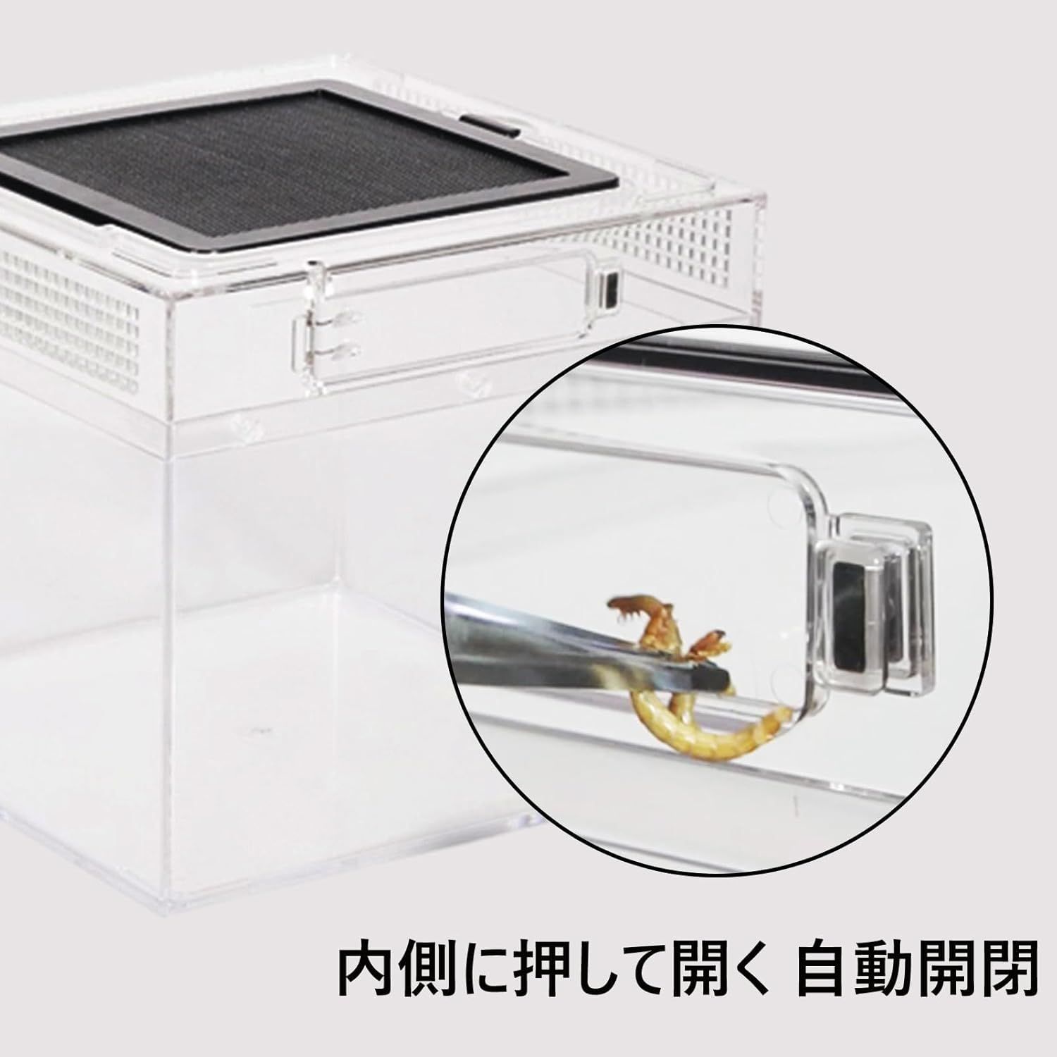 飼育器