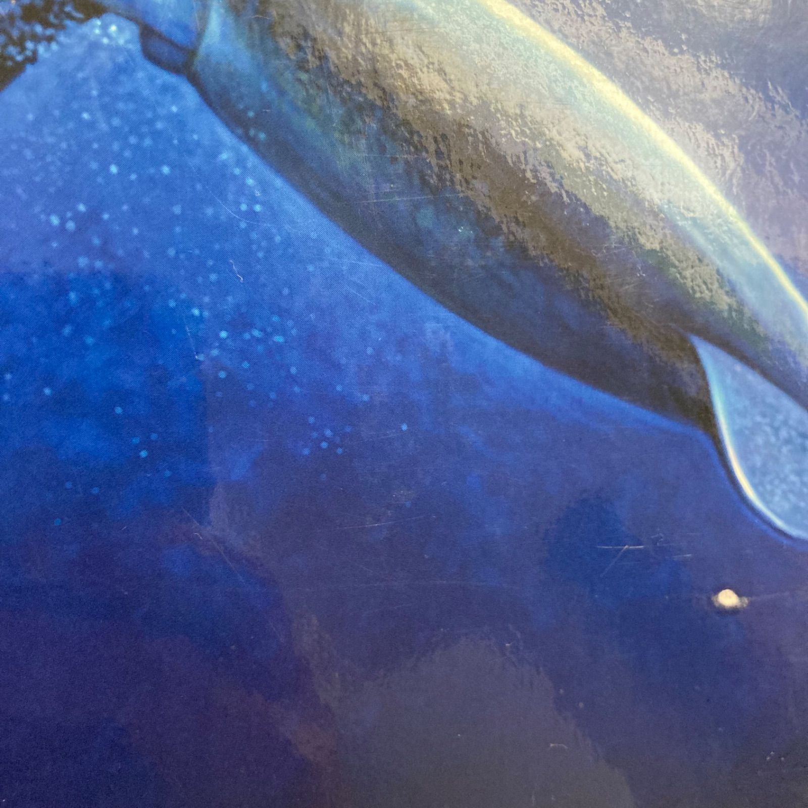 講談社の動く図鑑 MOVE （全巻DVDつき） セット 既15巻 DVDつき7冊