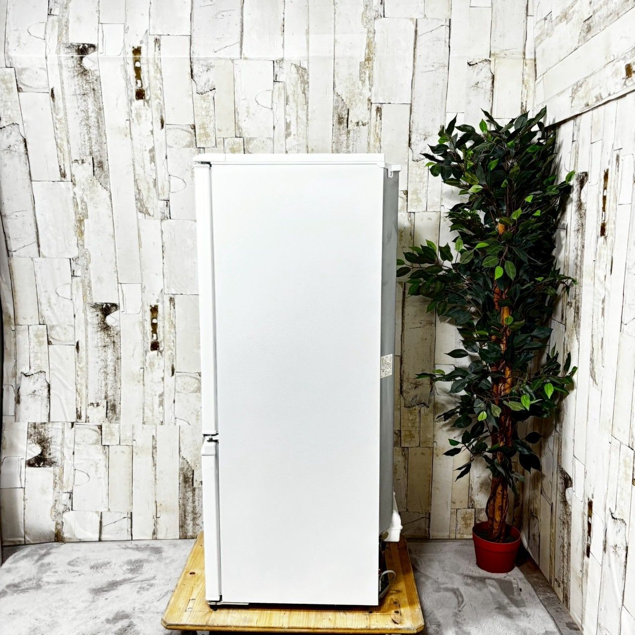 専用【2019年製】 SHARP シャープ SJ-C17E-N 冷凍冷蔵庫 2019年製