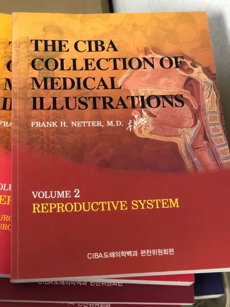 医療|