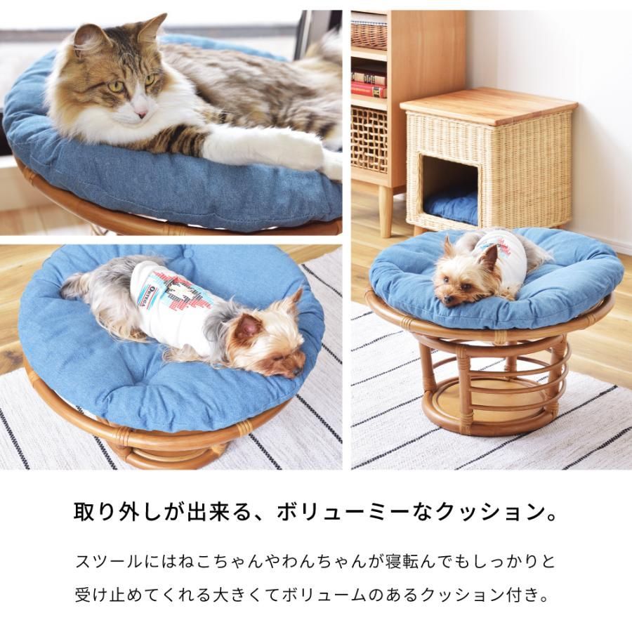 ペット