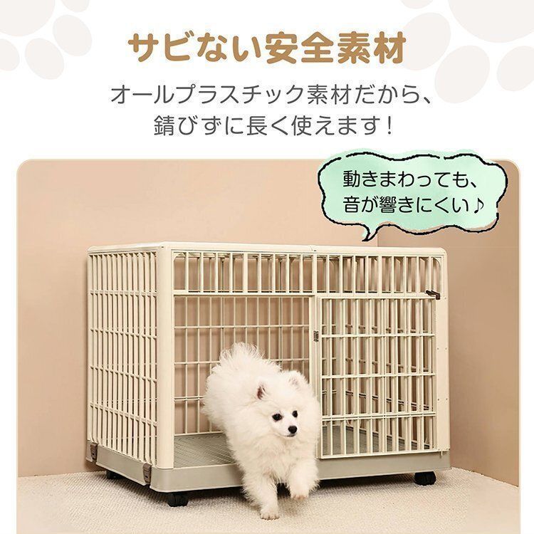犬