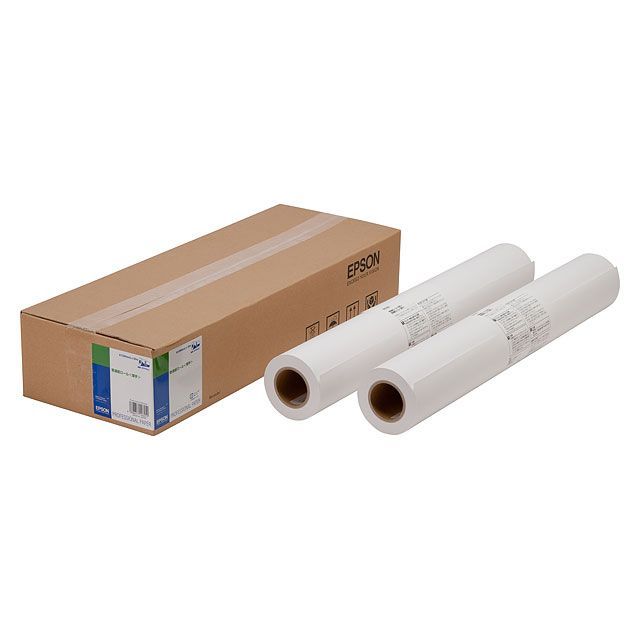 エプソン 普通紙ロール 薄手 A1サイズ 2本入り EPPP64A1 （1点）