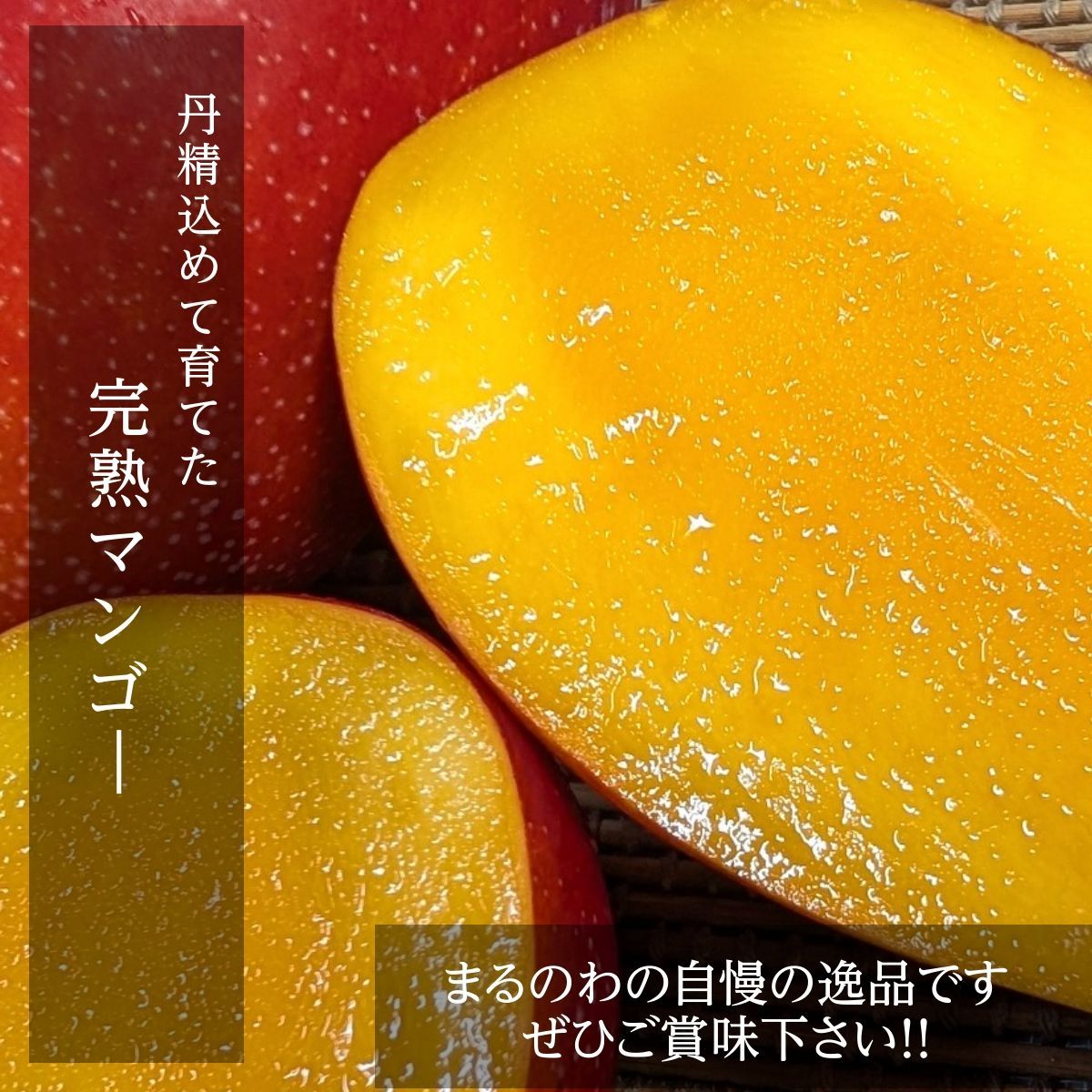宮崎県宮崎市