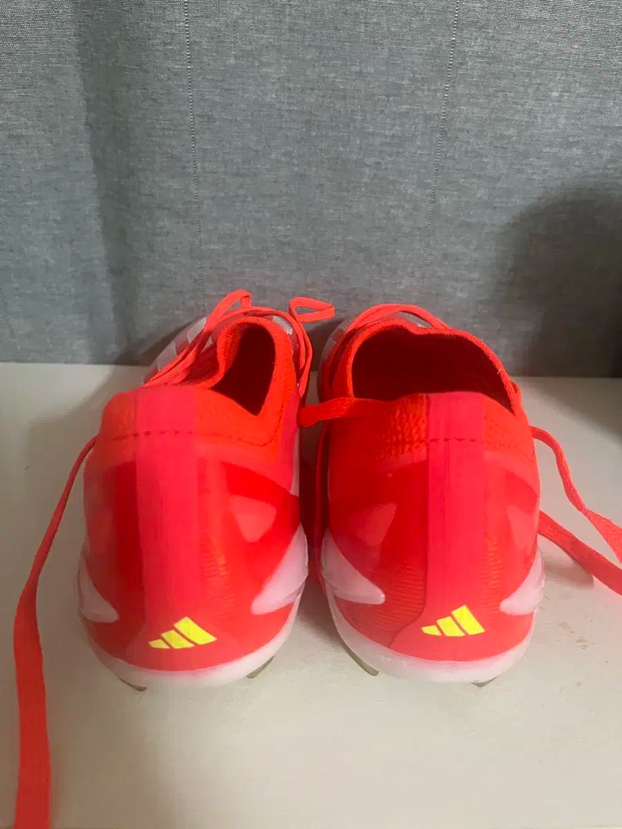 クレイジー ファスト