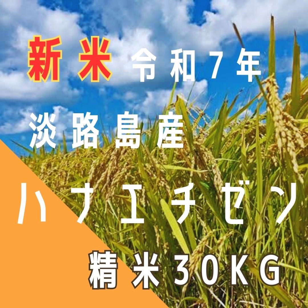 新米 令和7年産 ハナエチゼン 精米30キロ 淡路島 30kg