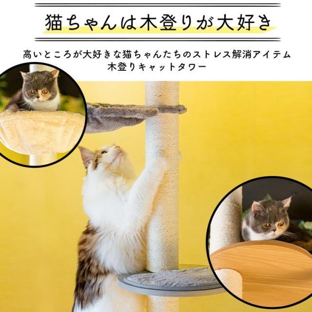 キャットタワー
