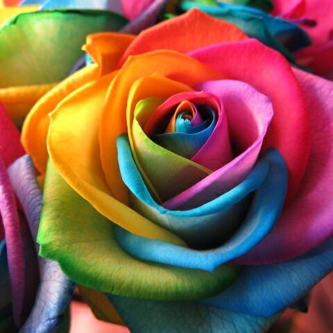 可愛いお花 デザイナーにおまかせ