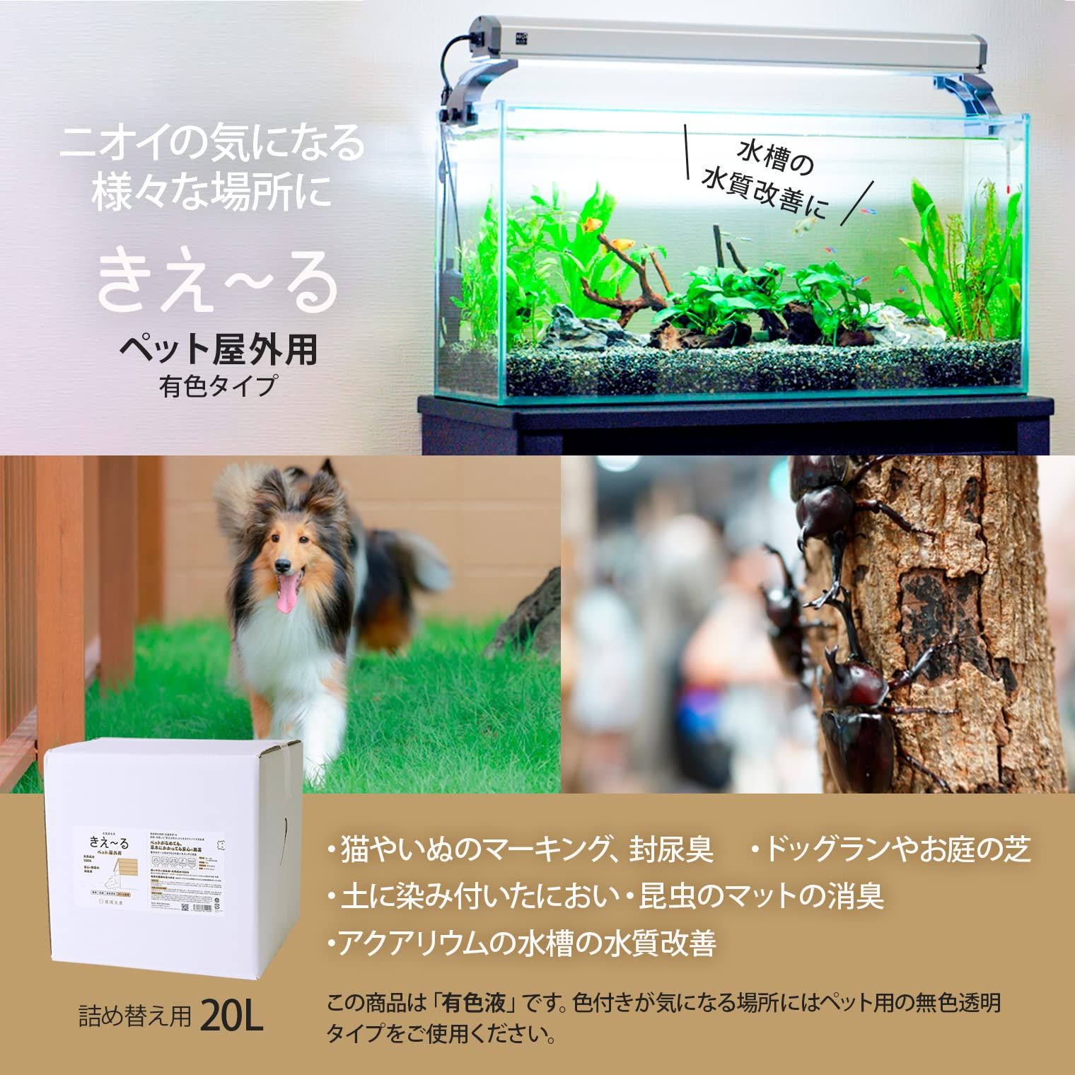 きえ～る