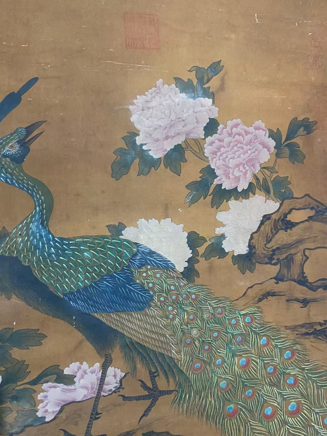 金陵博物院　中国　清時代　肉筆水彩絵　唐物骨董品 AK1867A12-3 中国古美術.精品三尺中堂画.宋徽宗花鳥画.手描きの作品.材質絹布