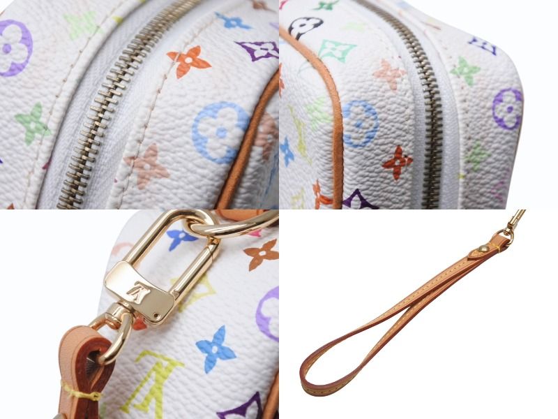 LOUIS VUITTON ポーチ 極美品 LOUIS VUITTON ルイヴィトン トゥルース ワピティ ポーチ
