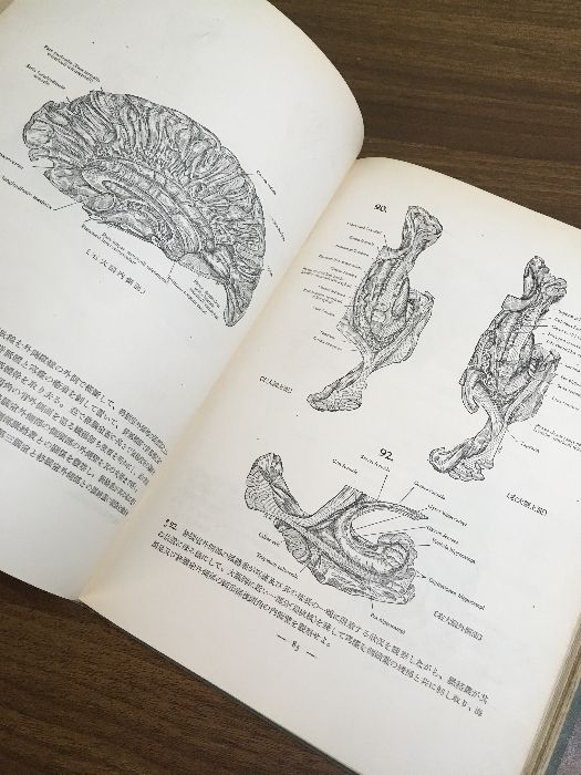 実習人体解剖図譜】昭和30年 浦良治 南江堂 現状品 - メルカリ