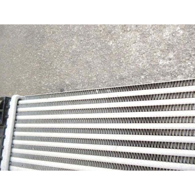 2020年 BMWミニ F56 LDA-XN15M 純正 インタークーラー 1751761759806 203673 4758 FFCRYSTALESIA_COM