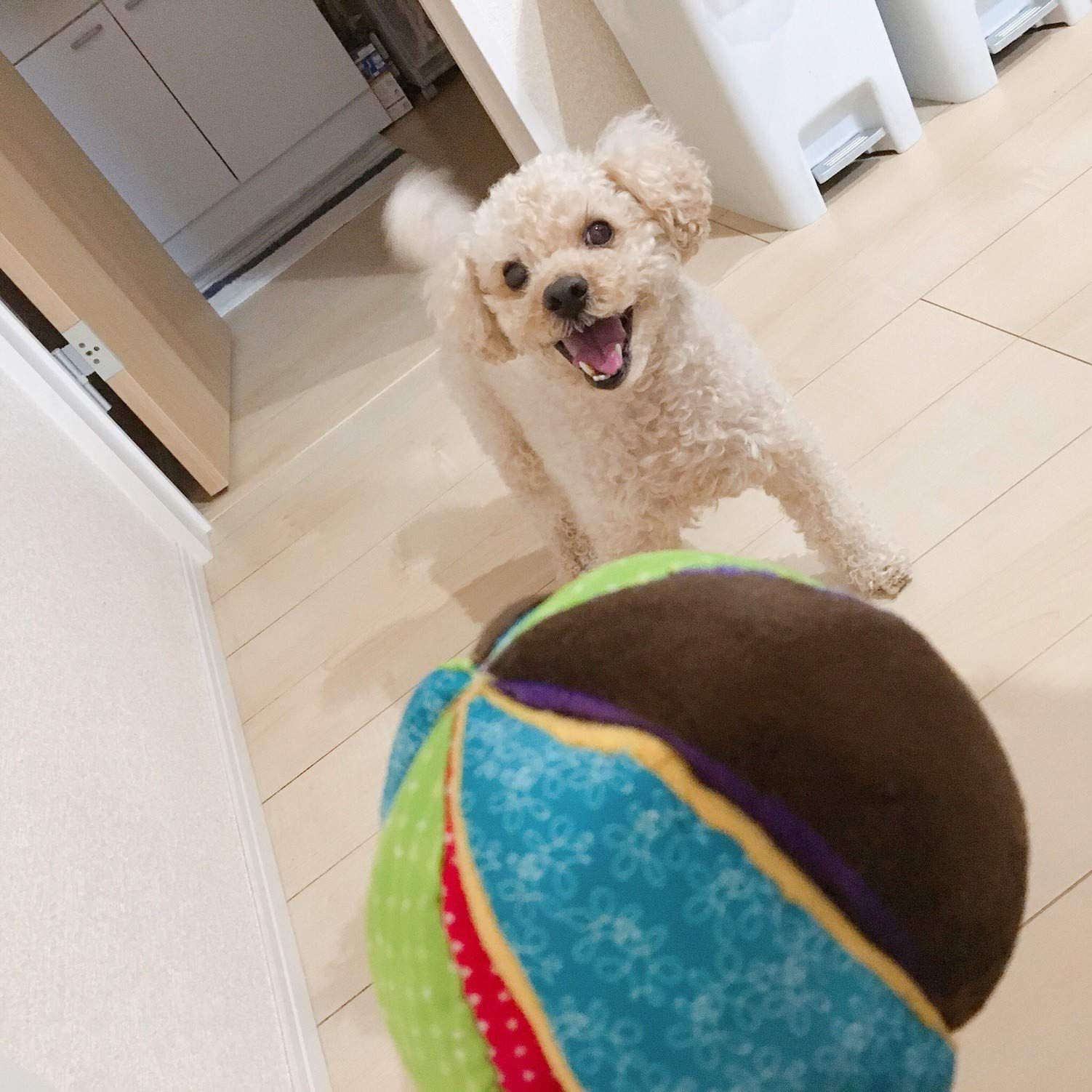 PET