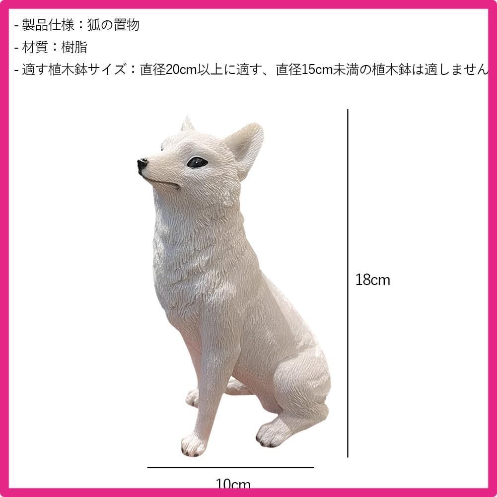 激レア　北極キツネ　白狐　剥製　はくせい　置物 激レア 北極キツネ 白狐 剥製 はくせい 置物 - メルカリ