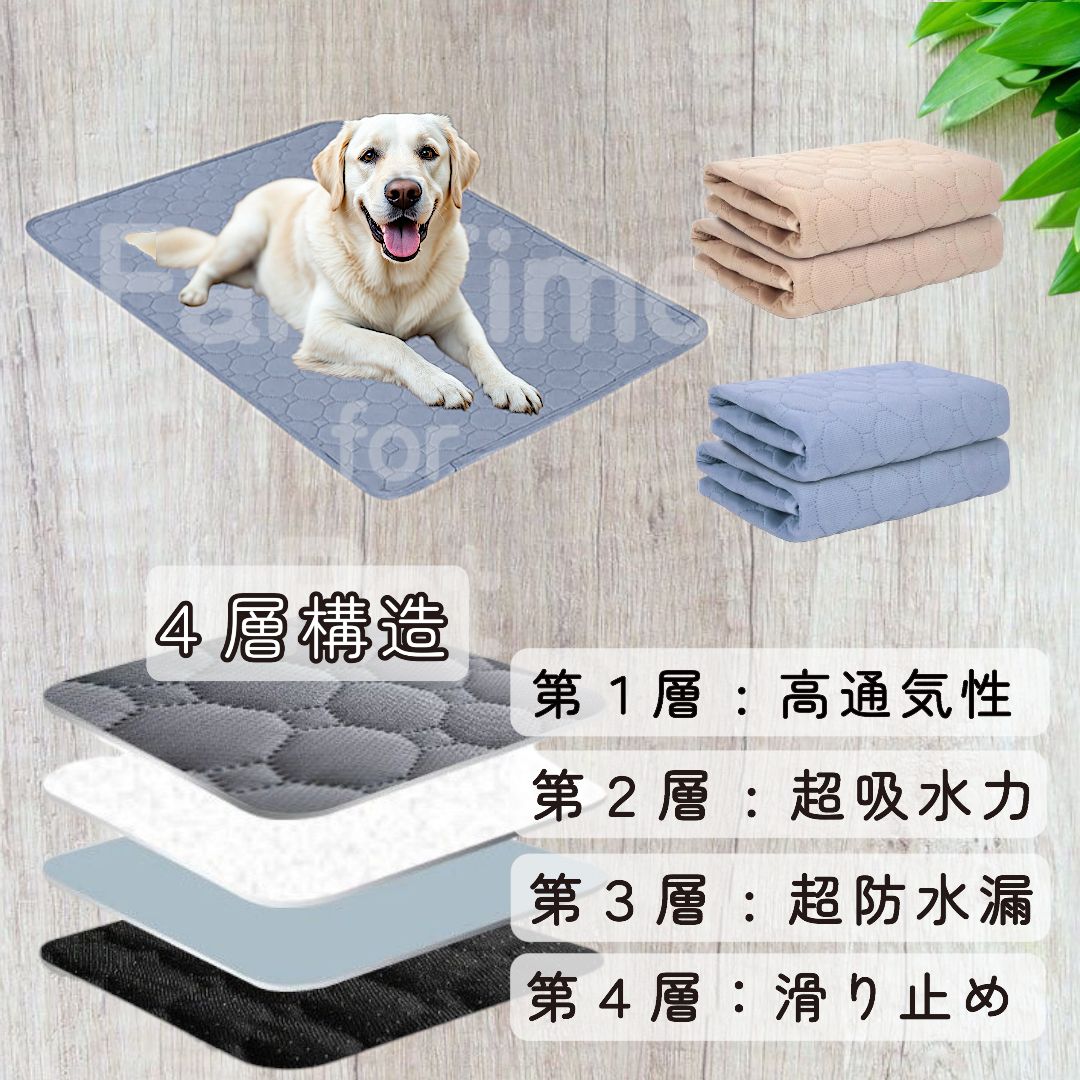 犬