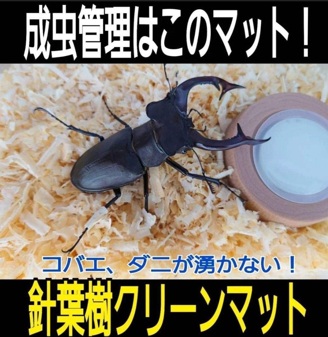 ひのきチップ③ かんなくず ウッドチップ ハムスター クワガタ