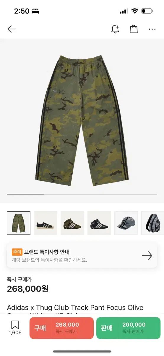 アディダス x サグクラブ トラック パンツ フォーカス オリーブ クリーム 白