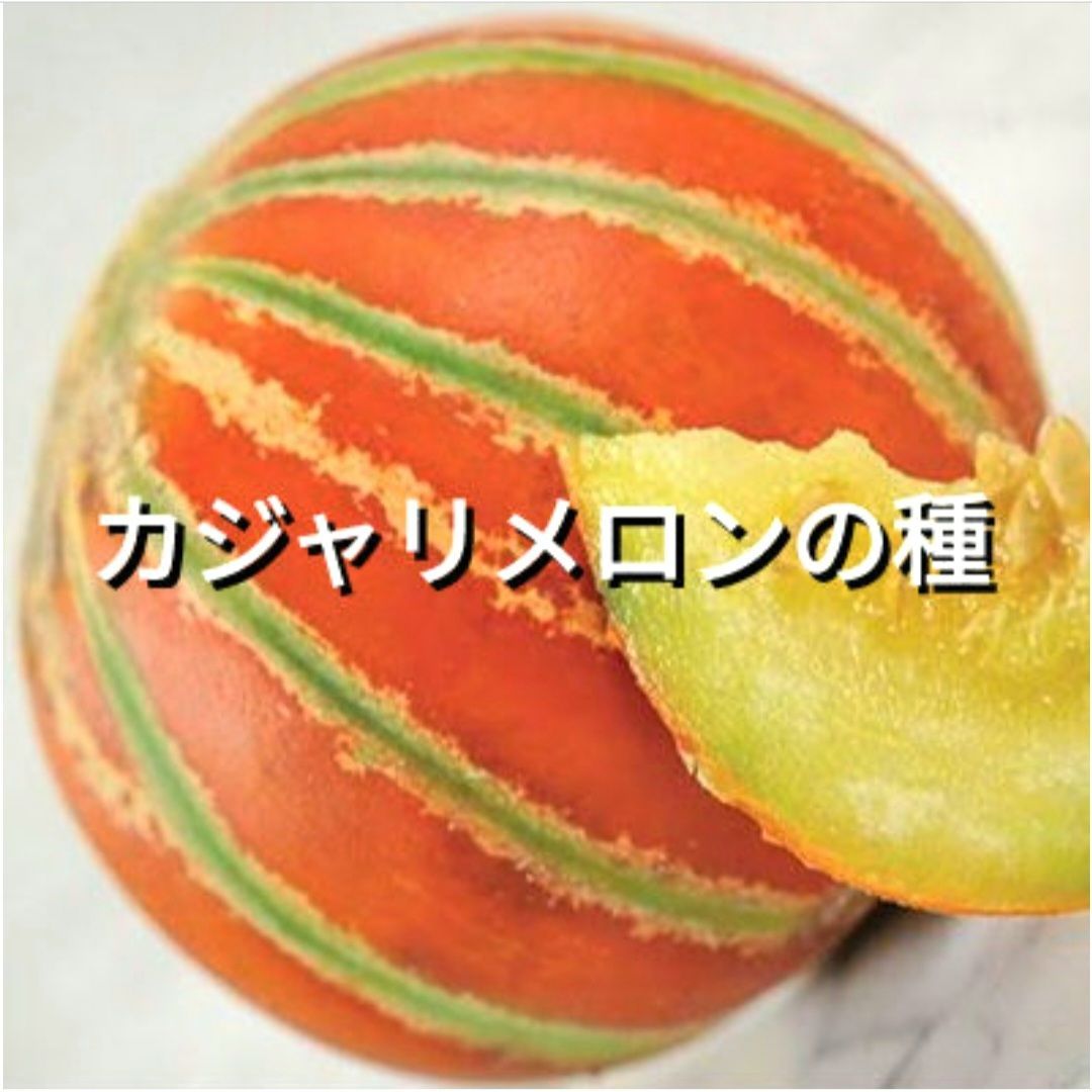 カジャリメロンの種(自然栽培) - メルカリ