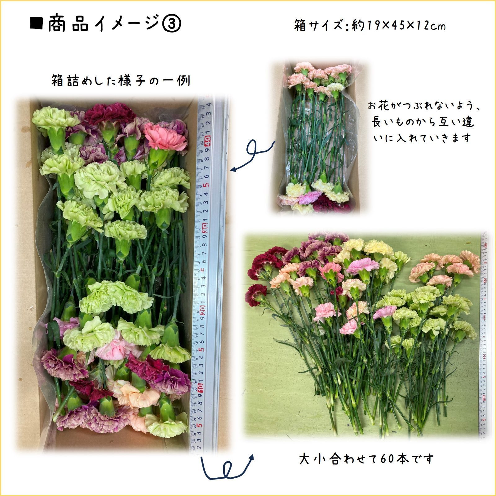 ☆2025準備中☆カーネーション 規格外品 品種MIX 80サイズ箱
