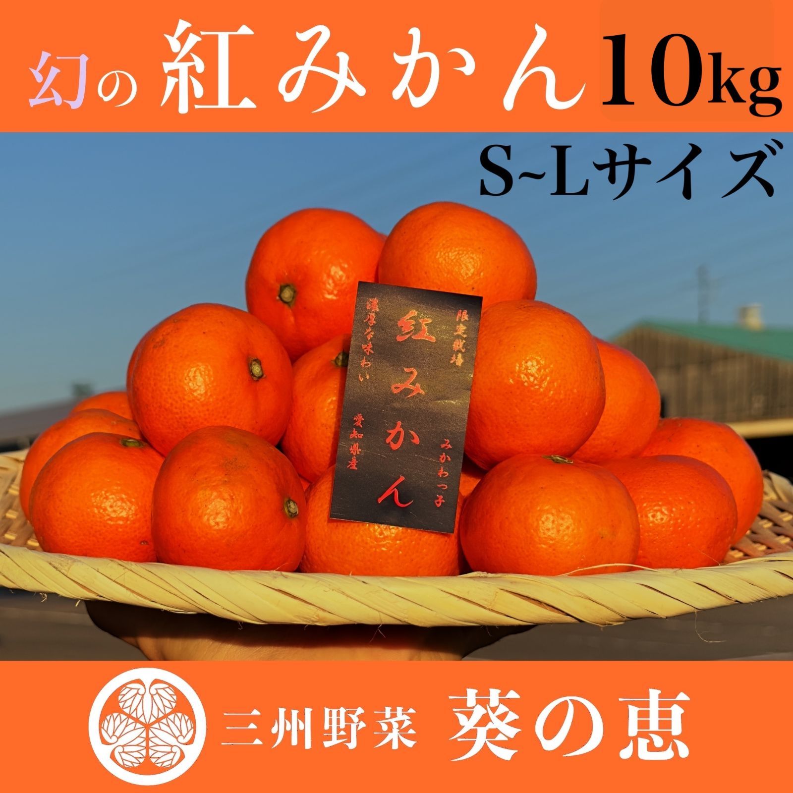 翌日発送 紅みかん 箱込約１０㌔高級味濃い 高騰中 みかん 小原紅早生 翌日発送 紅みかん 箱込約10㌔高級味濃い 高騰中 みかん 小原