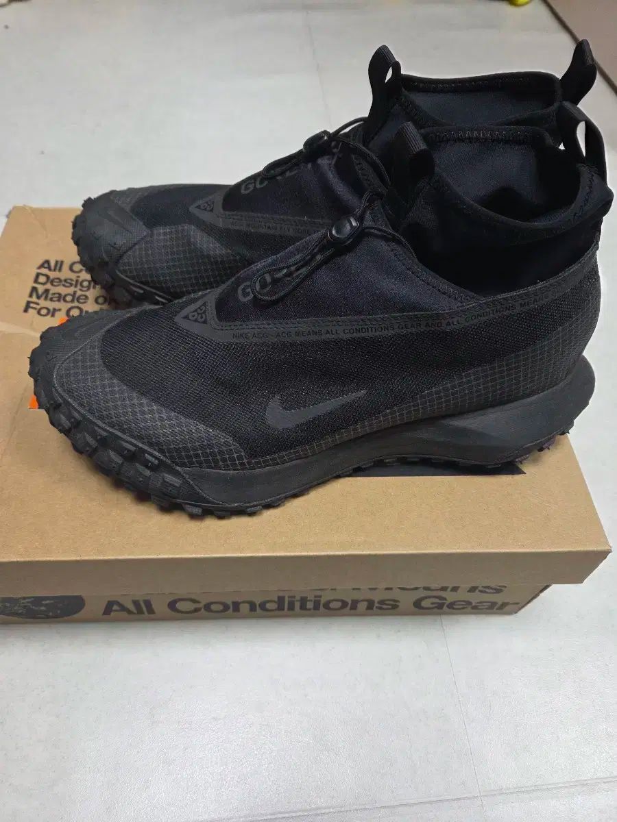 フライ ゴアテックス