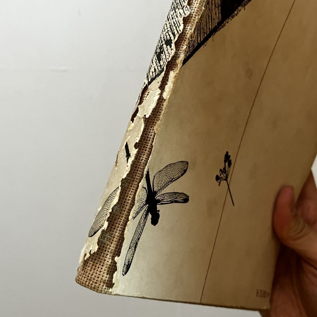 恩地孝四郎貴重書「博物志 : 寫眞・随筆」玄光社 1942年 141p 12いyn