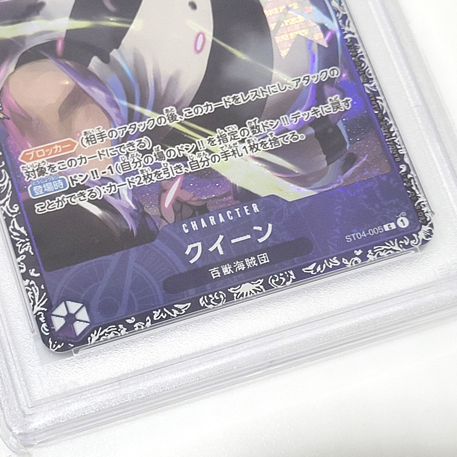 クイーン フラッグシップ プロモ クイーン プロモ フラッグシップ