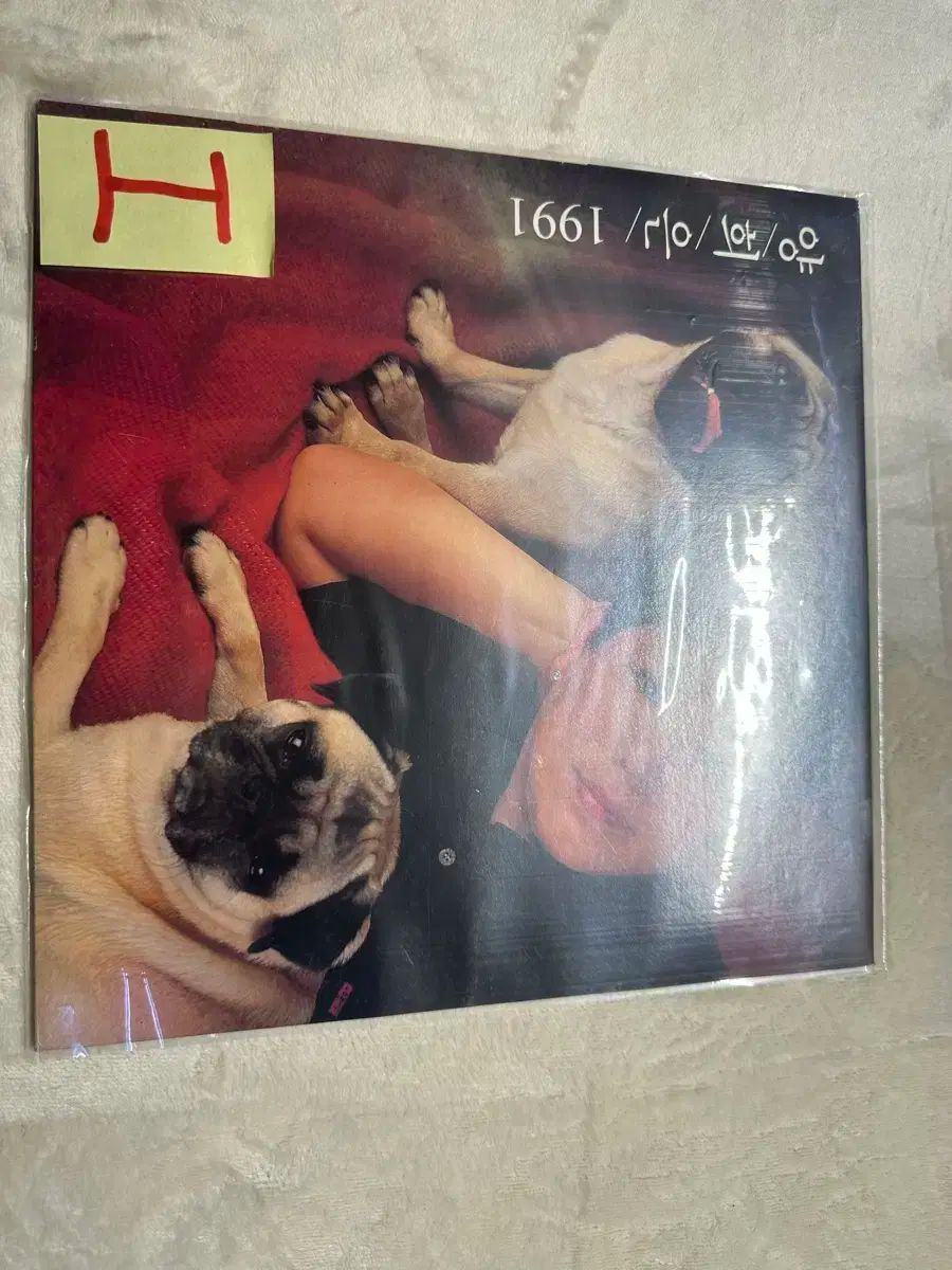 ヤン ヒウン ー 1991 その年 冬 LP みょうばん 愛 それら 寂しさに について