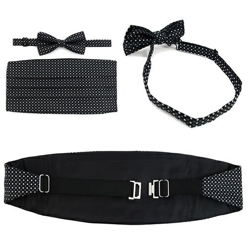 カマーバンド＆蝶タイ パープル 礼装 タキシード