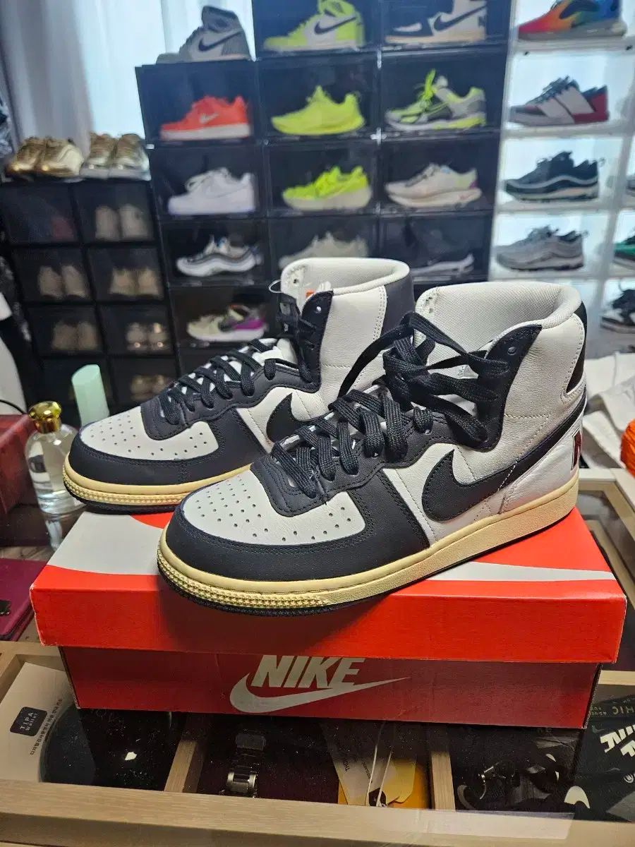 NIKE 本物 250 サイズ