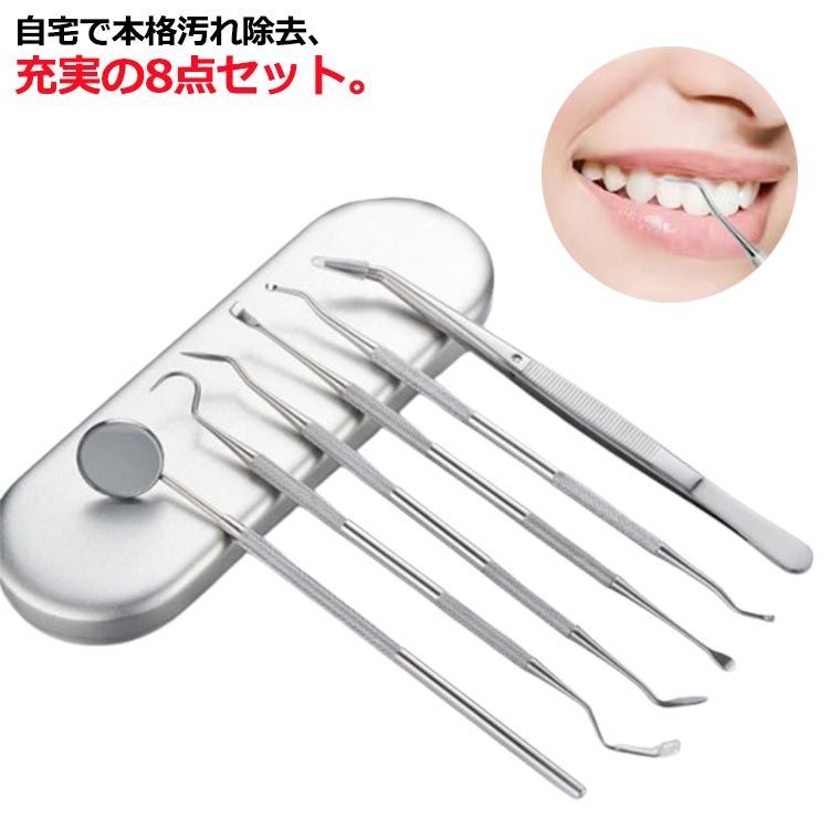 歯科器具セット 歯石取り器具セット スケーラーセット （歯石とり プロ 