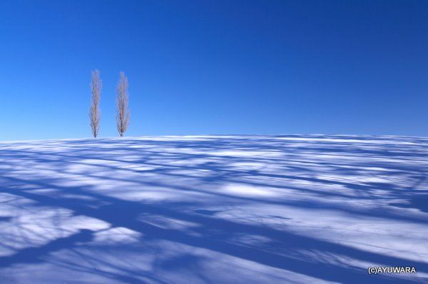 アート アートパネル