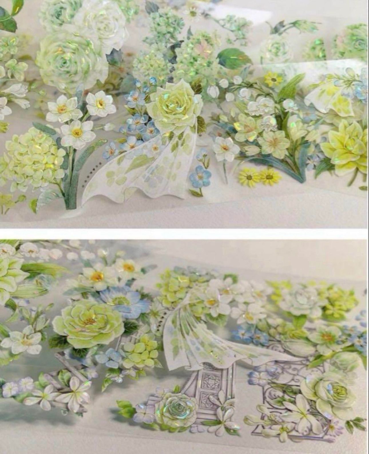 贝壳光 6cm×10m 逢春在野 海外マスキングテープ