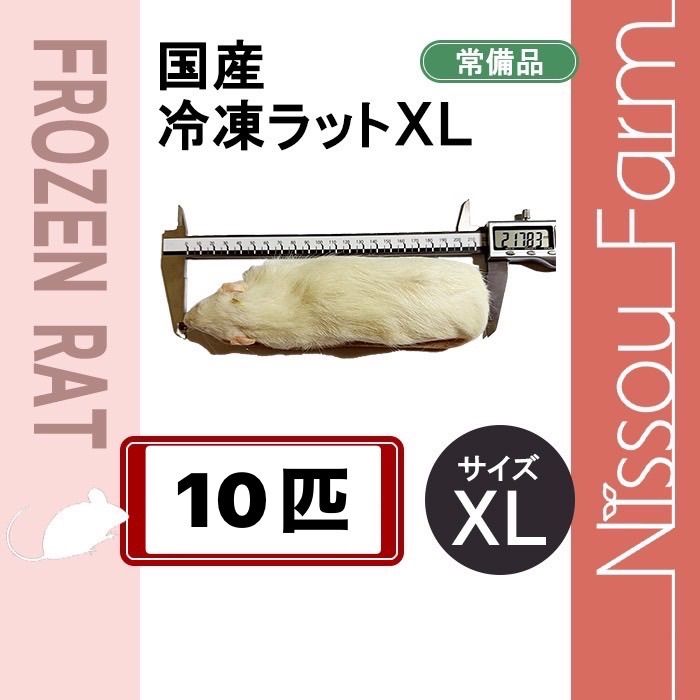 国産冷凍ラット XL 10匹 同梱可 即日発送 一部地域を除く全国送料無料