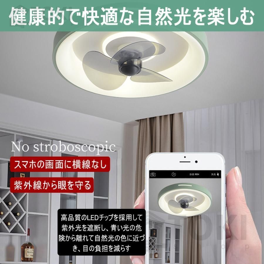 天井照明 扇風機
