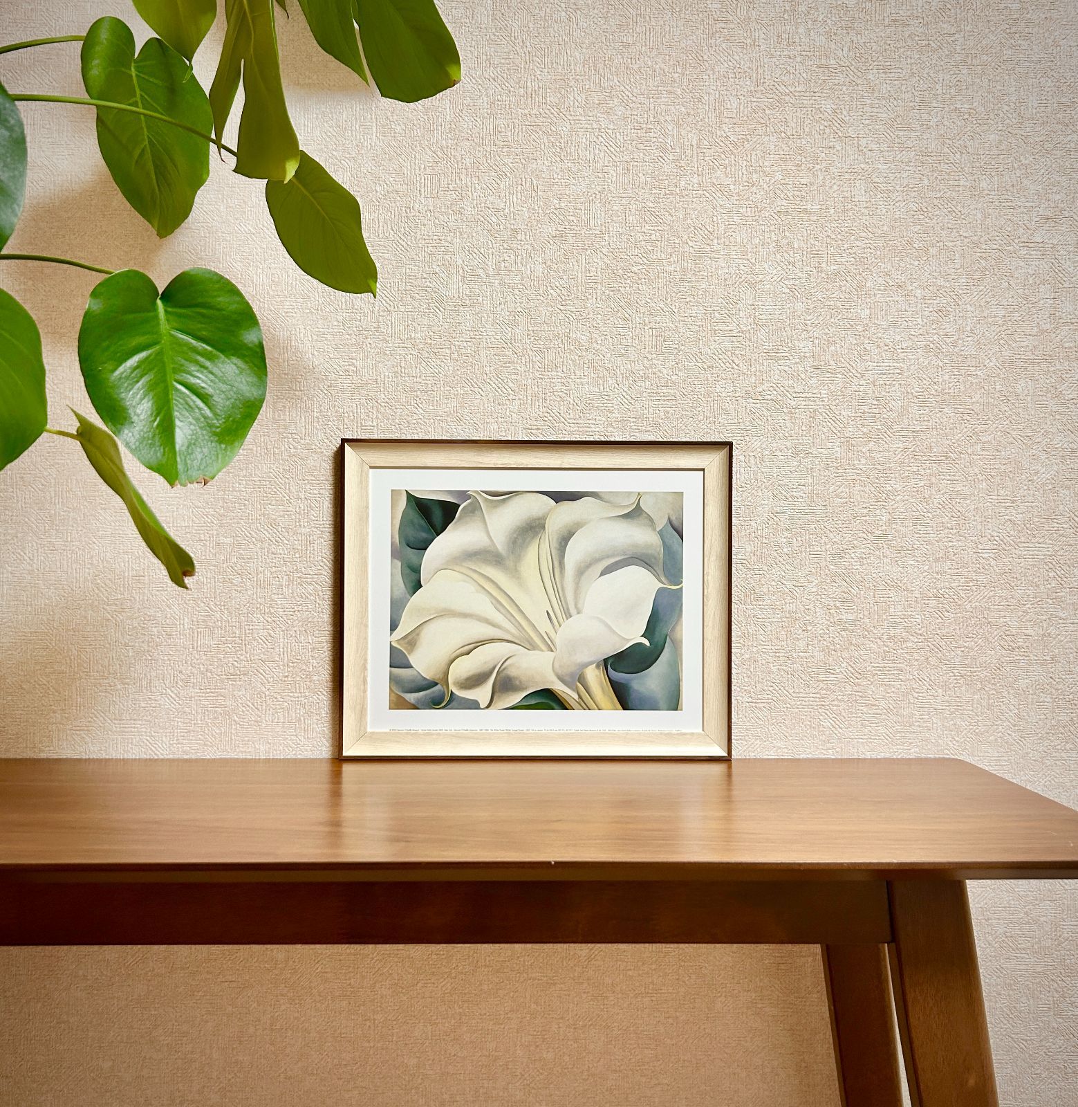 The White Calico Flower （ジョージア オキーフ)ポスター Amazon.co.jp: ポスター ジョージア オキーフ The White Calico