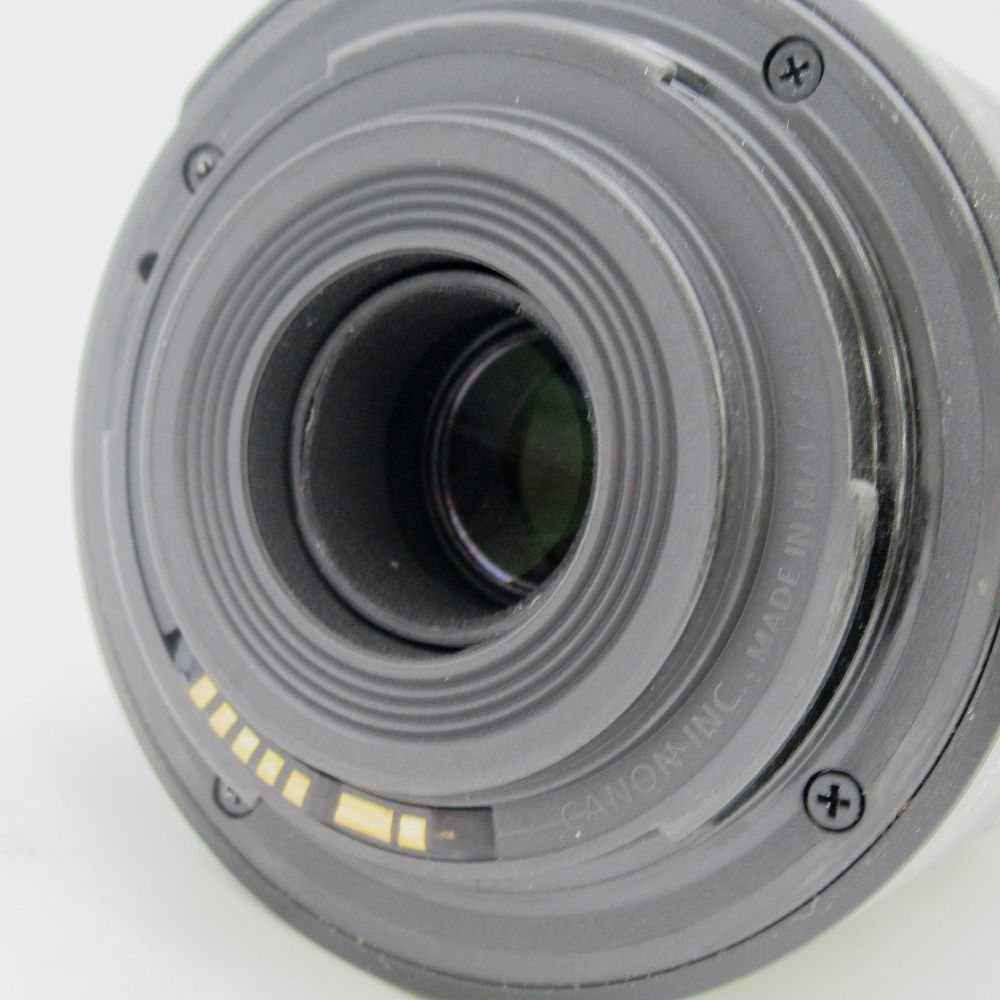 EF-S55-250mm F4.5-5.6