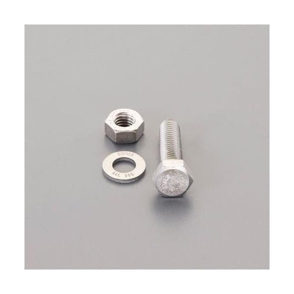 7営業日以内発送 在庫品 エスコ EA949DX-1605 M16x 45mm強力六角ボルト SUS ナットワッシャ付全ネジ EA949DX1605 沖縄離島販売不可