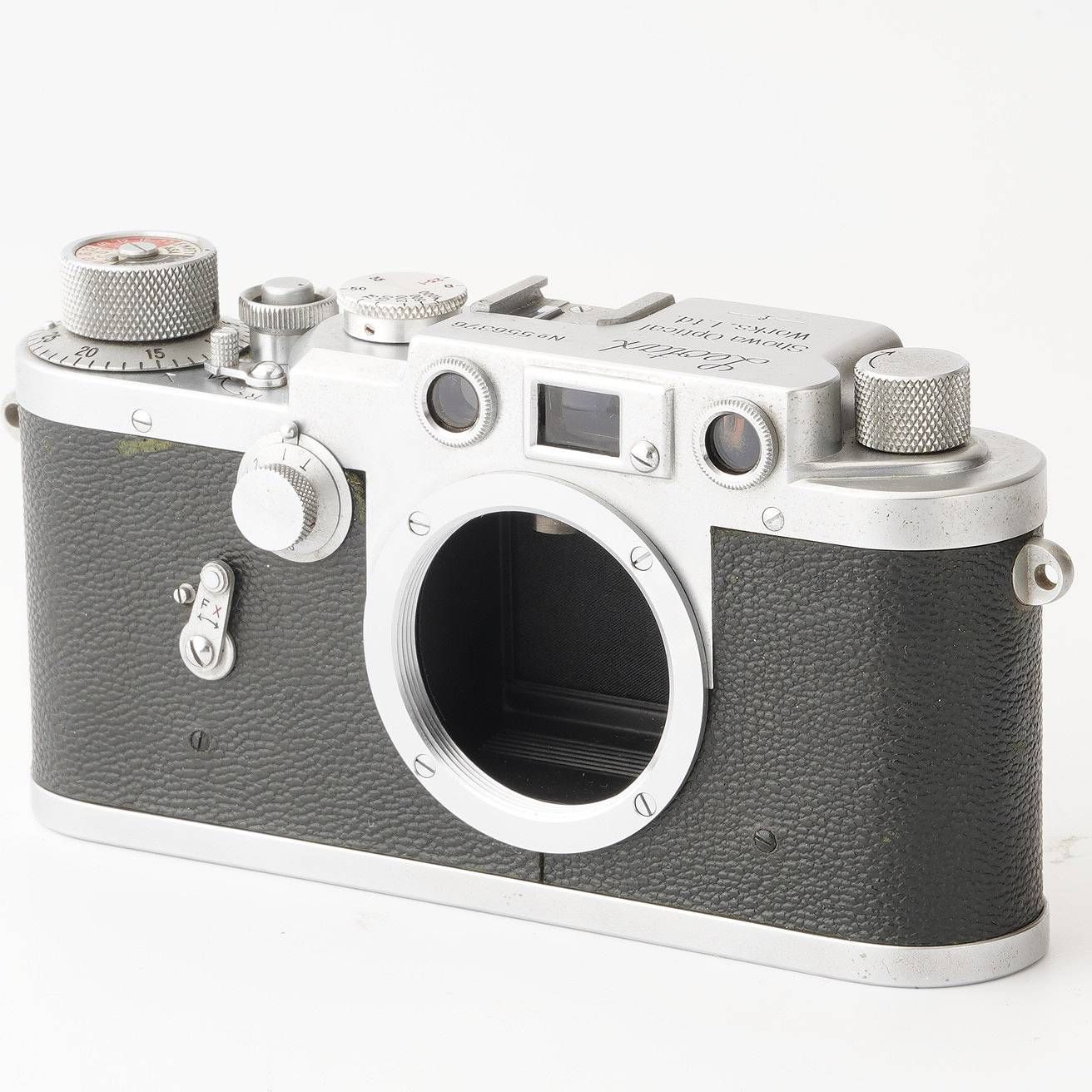 注文 ゴーリーオバケクロツヤムシ76mm標本(ケース付き)