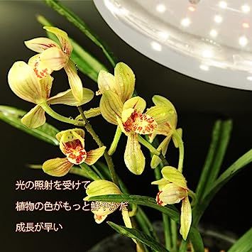【新着商品】GREENGROWING植物育成用ledライト E26植物育成ライト