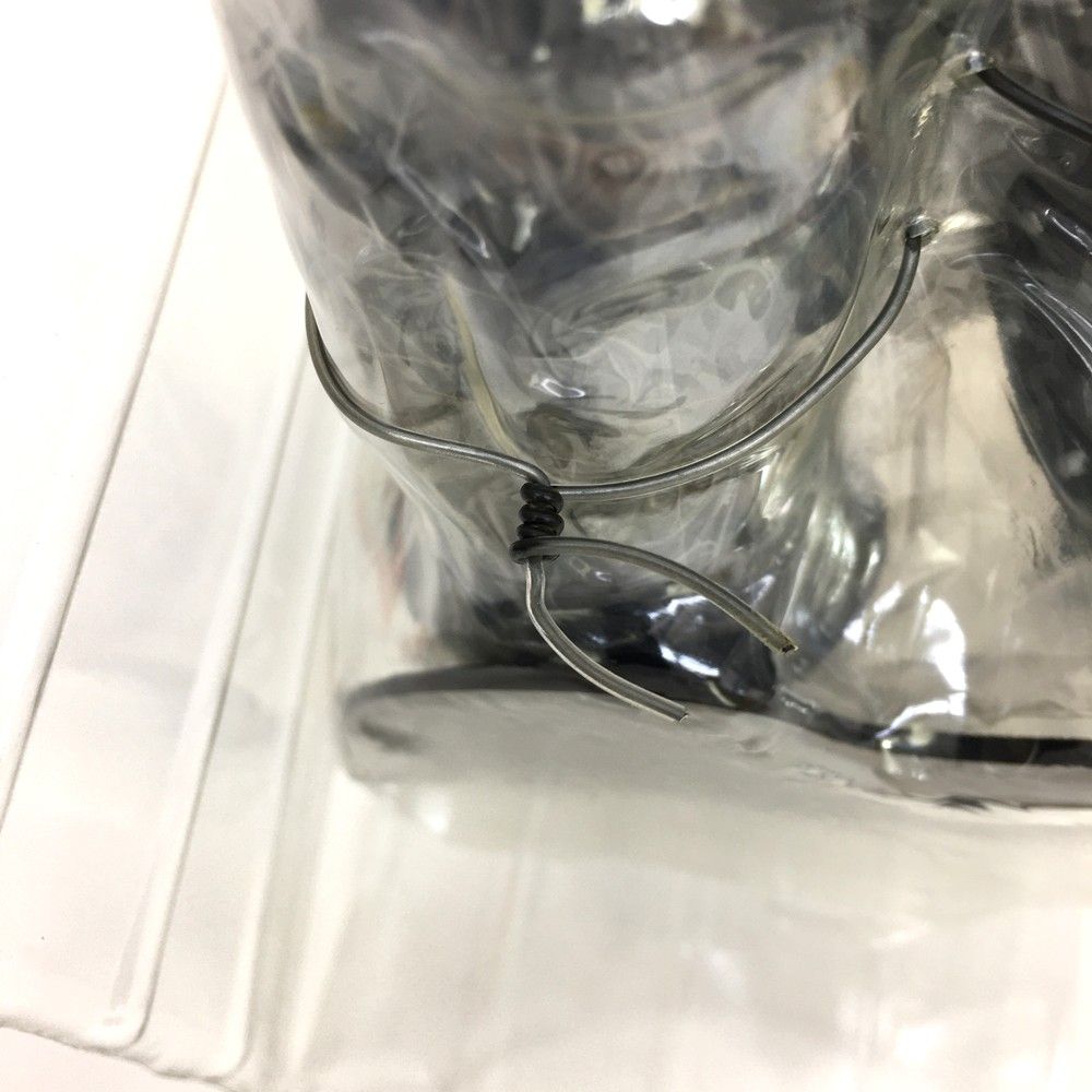 宇宙恐竜