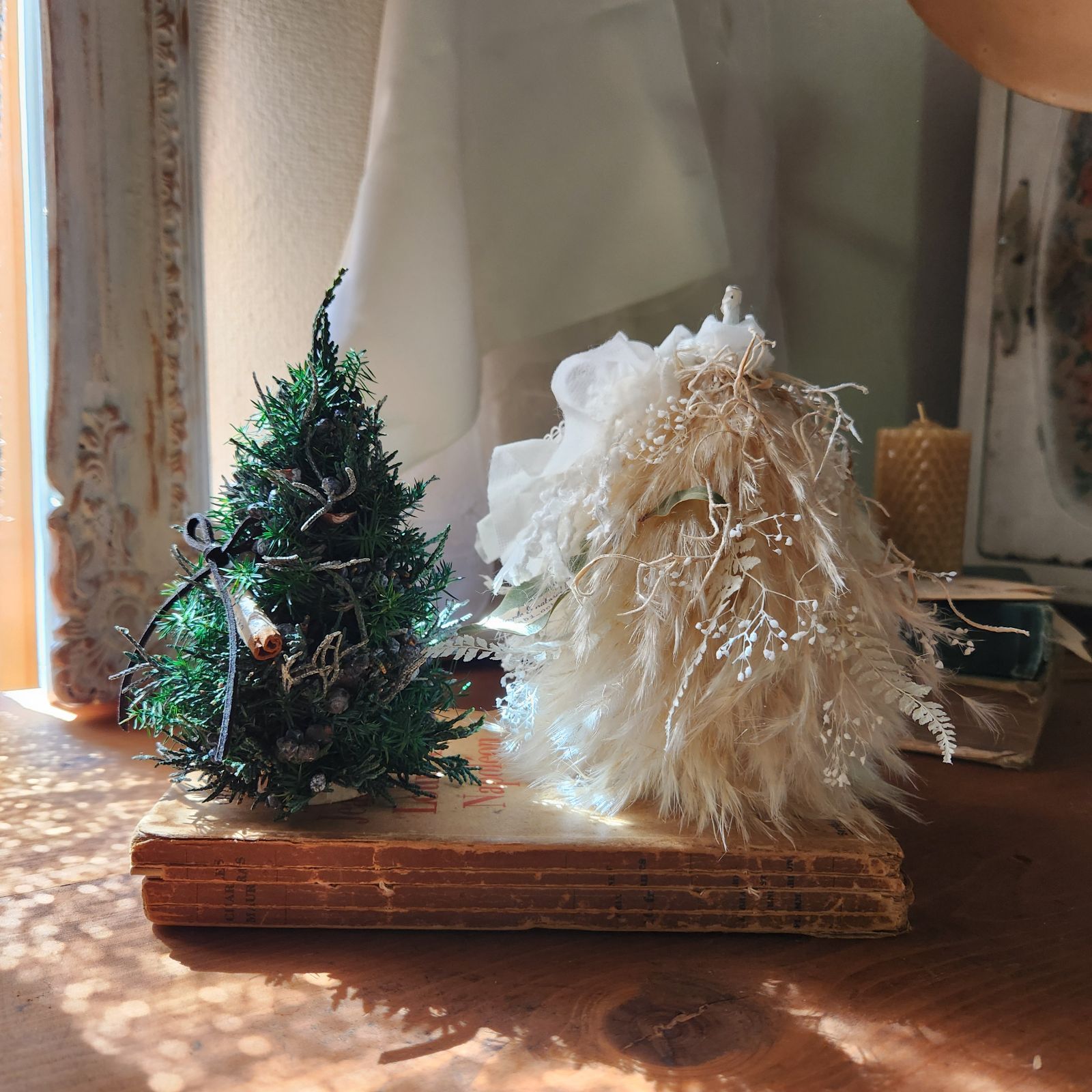 専用感謝sale＊パンパスツリーのジャンボドライボトル＆コットンのブリキアレンジ 会員専用無料レシピ】ドライパンパスグラスで作るホワイトクリスマス